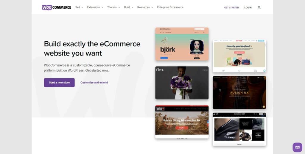 screenshot of the woocommerce homepage